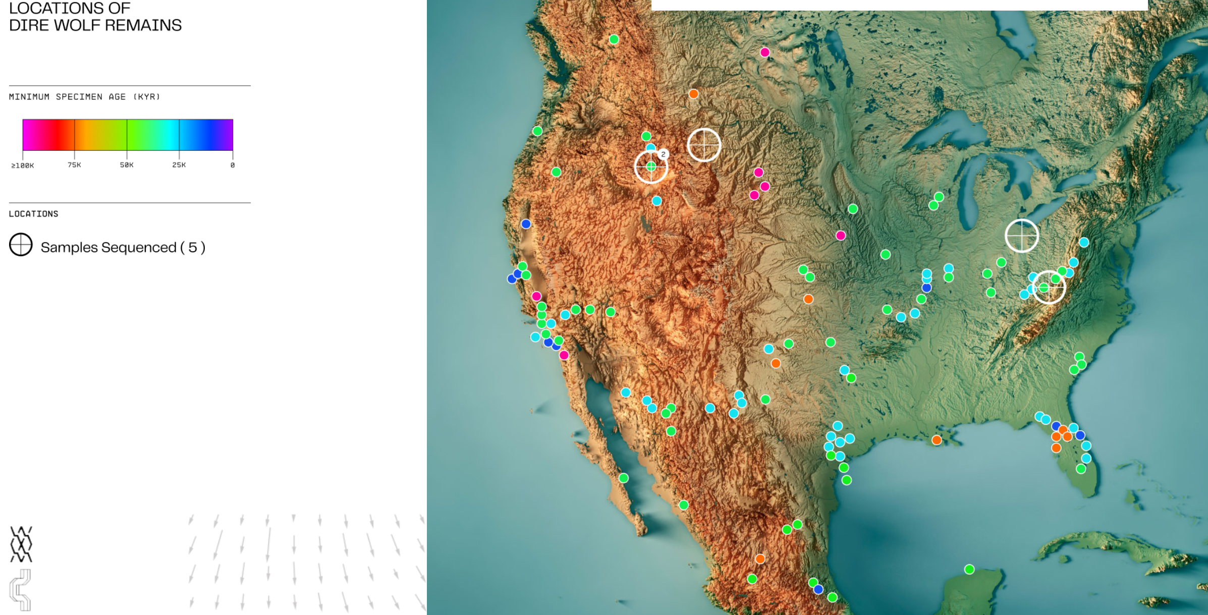 Another range map, this time with colourful points arranged on a satellite-ish map of the middle of North America, centred on the US, with some relief to show mountain ranges and colours showing different vegetation types, I suppose. To the left is a scale bar showing what the colours of the points mean, which goes through a rainbow spectrum with pink/red points being the oldest and blue/violet points being the youngest. On the map, there are crosshairs pointing out where the sequenced specimens are from. The legend states that 5 specimens were sequenced but there are only 4 crosshairs on the map, suggesting that there are two samples from one location. We don't know which.