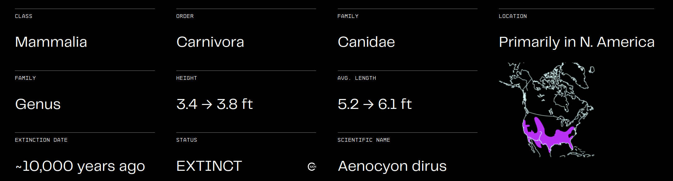 A fact sheet-style graphic about the dire wolf. It says Class: Mammalia. Order: Carnivora. Family: Canidae. Family: Genus. Height: 3.4 to 3.8 ft. Avg. Length: 5.2 to 6.1 ft. Extinction Date: ~10,000 years ago. Status: EXTINCT, followed by the IUCN logo. Scientific Name: Aenocyon dirus (not italicized). Location: primarily in N. America. To the right under the final text is a range map depicting most of North America, cutting off the southern part of Mexico, with a pink blotch in the US and a tiny bit in Mexico.