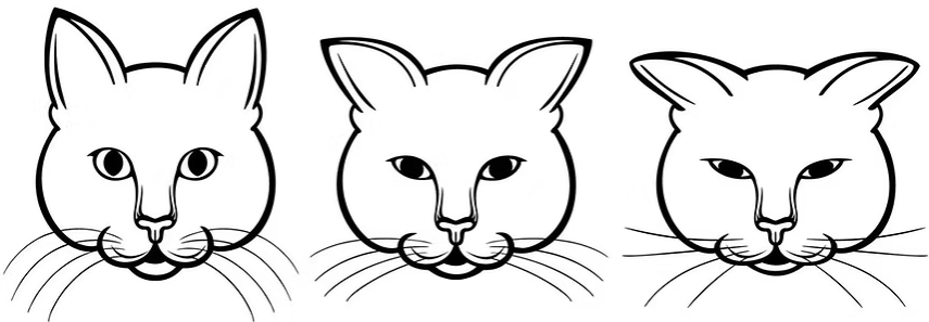 An illustration of three cat faces. The cat on the left has ears forward, open eyes, a round muzzle, and gently curved whiskers. The cat in the middle has ears slightly to the side, somewhat closed eyes, a moderately tense muzzle, and whiskers pulled close. The cat on the right has ears airplaned to the side, fully squinted eyes, a tight elliptical muzzle, and whiskers held straight and spread forward.